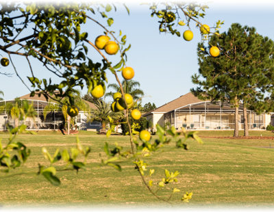 5 Bedroom 3 Bath Golf course vacation home WVH 465