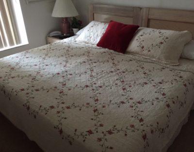 4 Bedroom 2.5 Bath Pool Home WVH 717