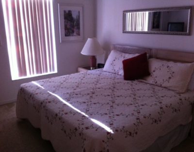 4 Bedroom 2.5 Bath Pool Home WVH 717